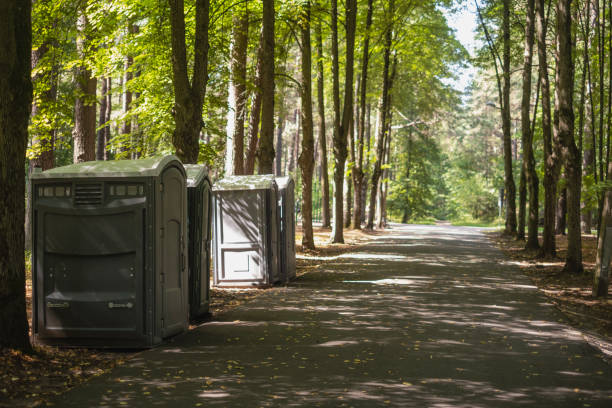 Portable Toilet Options We Offer in Anoka, MN