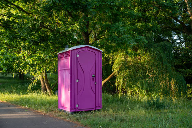 Best Sanitation services for porta potties  in Anoka, MN